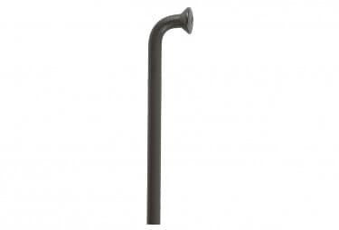 DT Swiss Champion Svart J-Bend Ekerlängd 296 mm