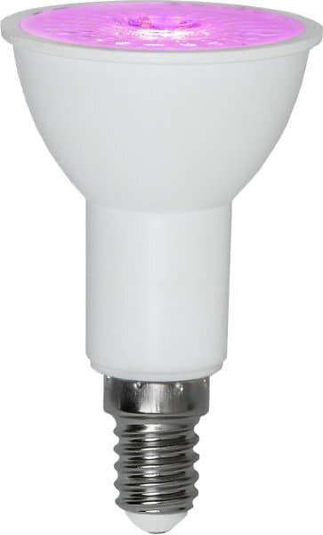 Star Trading E14 LED 3,5W Växtlampa (Vit)