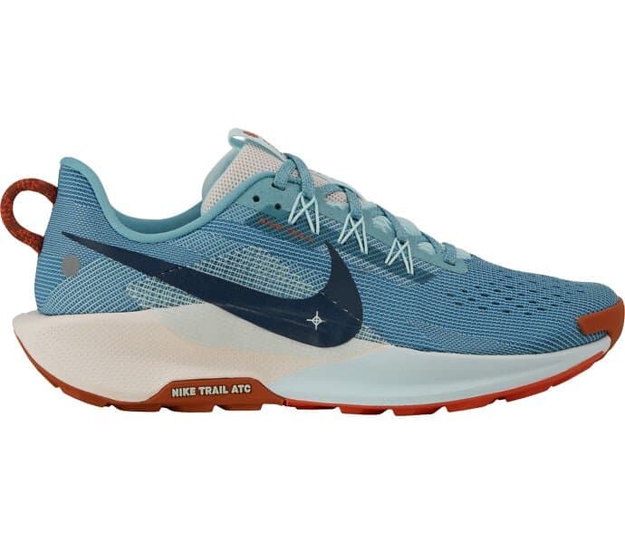 Nike Pegasus Trail 5 (Men's)