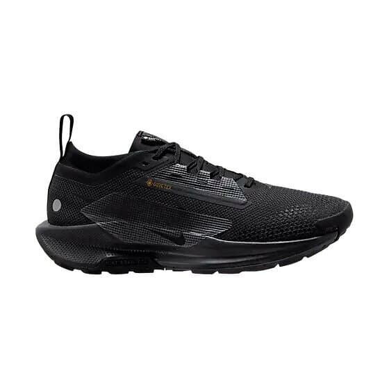 Nike Pegasus Trail 5 GTX (Men's)