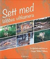 Sett med Wibbes viltkamera