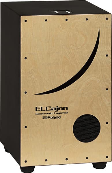 Roland EC10