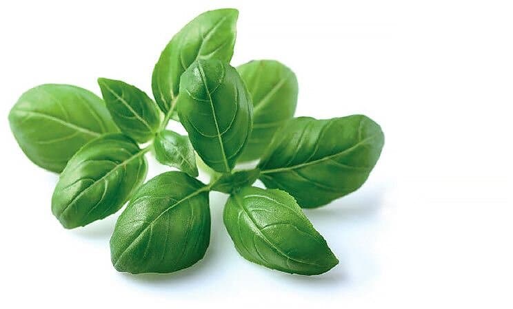 Click and Grow Smart Garden Refill 3-pack Dwarf Pea