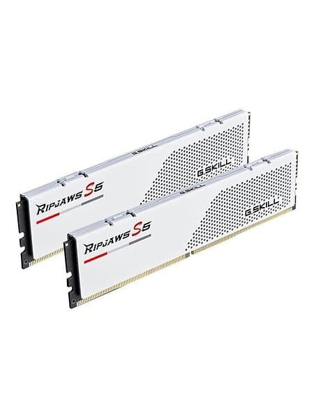 G.Skill Ripjaws S5 White DDR5 5200MHz 2x48GB (F5-5200J4040A48GX2-RS5W)