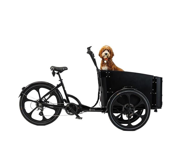 Cargobike DeLight Dog (Elcykel)