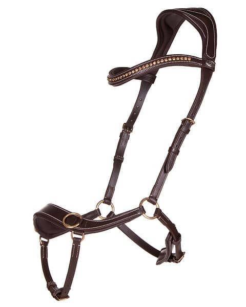 QHP Bettlöst Anatomiskt Träns Sidepull Brun Cob