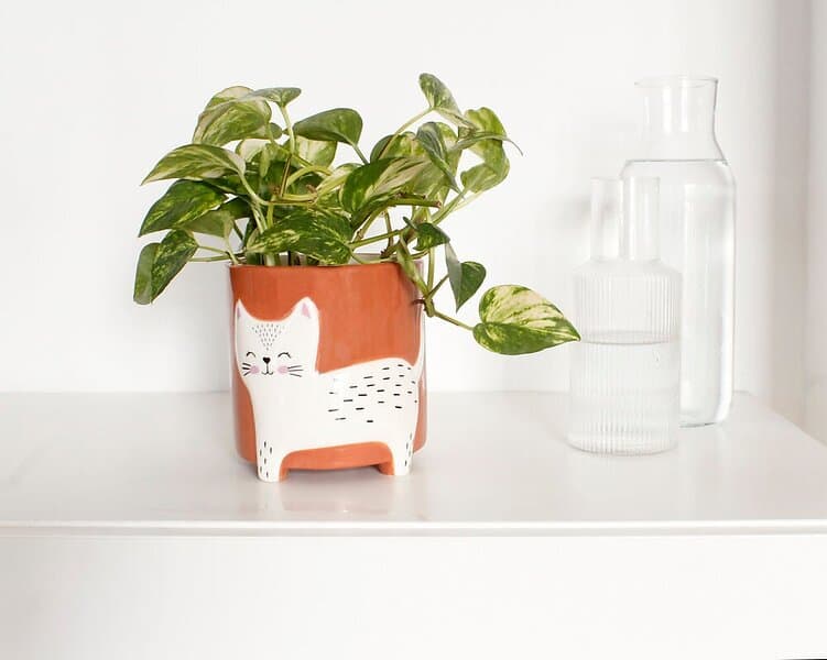 Winkee Flower pot bowl Flower pot cat 13cm
