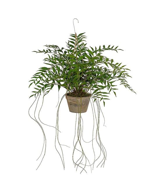 Götessons Kunstig plante Hoya