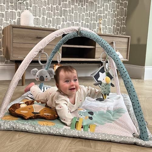 Nuby Animal Babygym för Adventure