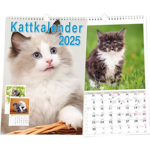 Kattkalender 2025