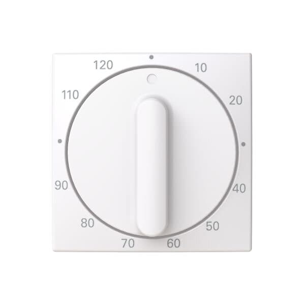 ABB Saga 1771-916-103-510 Centrumplatta för korttidstimer 0-120 min