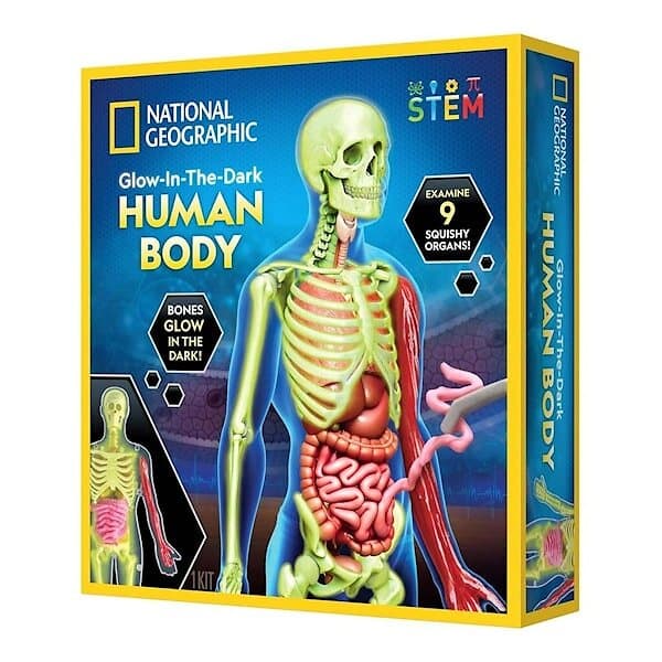 National Geographic Human Body Science Kit