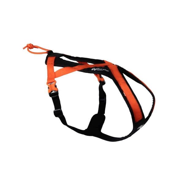 Non-Stop Dogwear Rush Hundsele Orange (onesize)