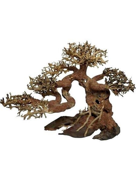 4FISH Bonsai 40X20x30 Cm