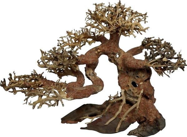 4FISH Bonsai tree roots 15x8x10 cm