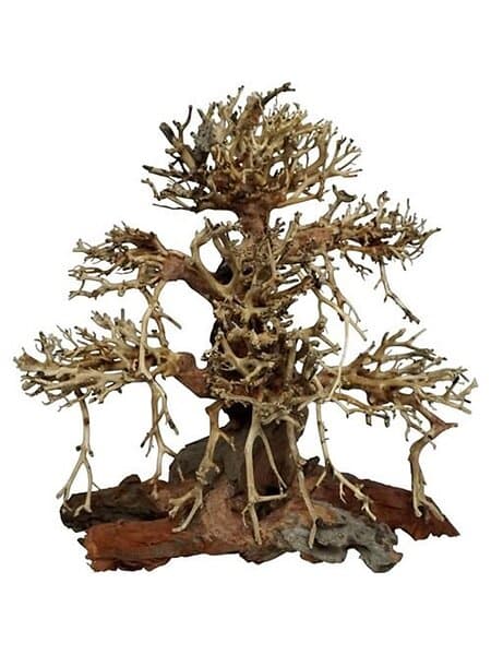 4FISH Old Bonsai 30X15x30 Cm