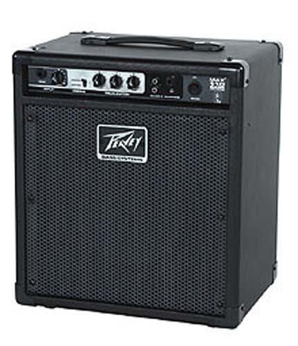 Peavey MAX 110