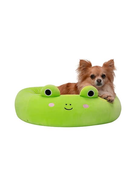 Squishmallows Husdjurssäng Wendy The Frog, 50 cm