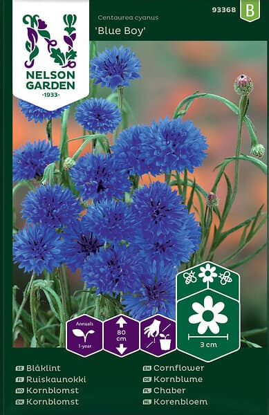 Nelson Garden Blåklint Blue Boy