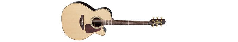 Takamine Pro Series 5 P5NC