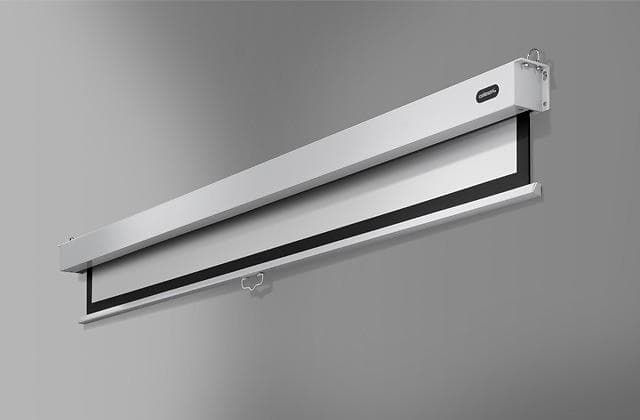 Celexon Professional Plus Manual 16:9 136" (300x169)