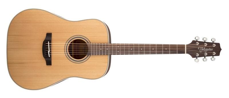 Takamine GD20
