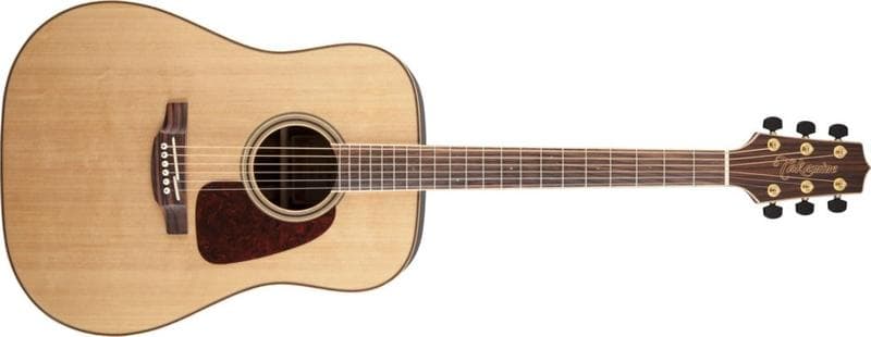 Takamine GD93