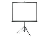 Grandview Portable Screen 1:1 113" (203x203)