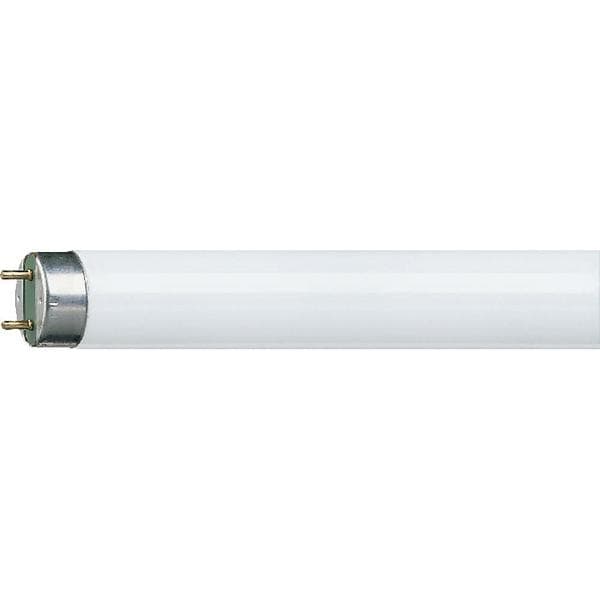 Osram Lumilux T8 6500K G13 36W (L1200)