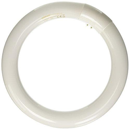Osram Lumilux T9 Circular 865 1300lm 6500K G10q 22W