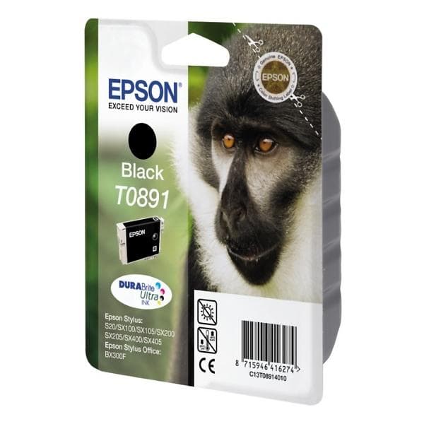 Epson T0891 (Svart)