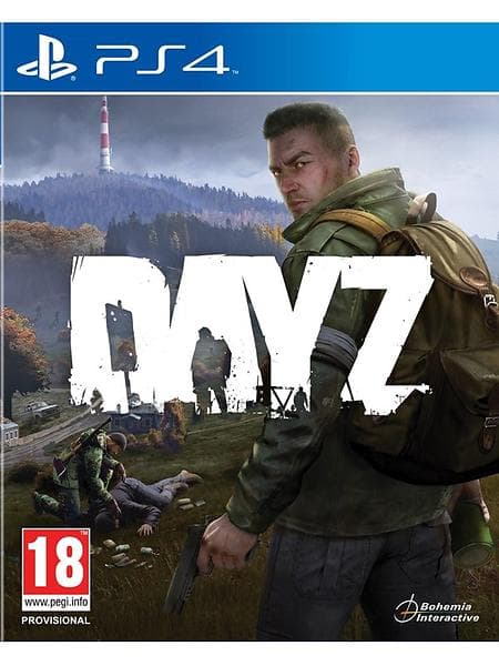 DayZ (PS4)