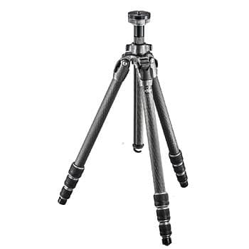 Gitzo Mountaineer GT2542