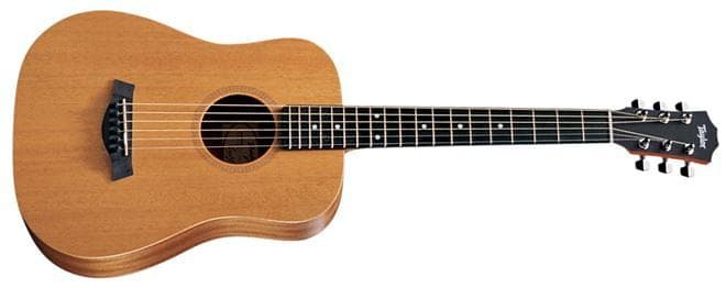Taylor Baby BT2