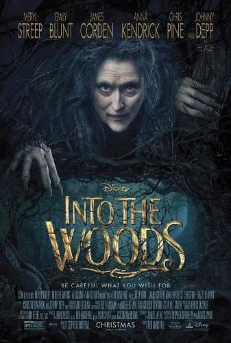 Into the Woods (DVD)