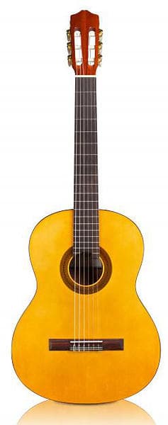 Cordoba C1