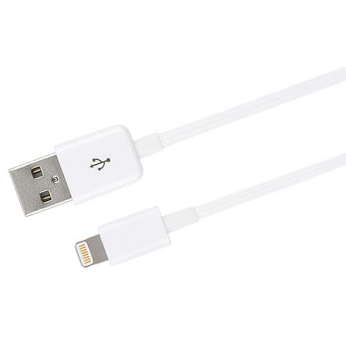 Champion USB A - Lightning 2m