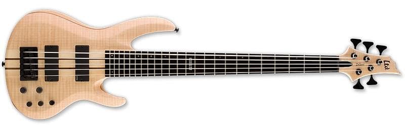 ESP LTD B-1005