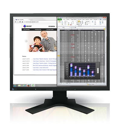 Eizo FlexScan S1934 19" HD IPS