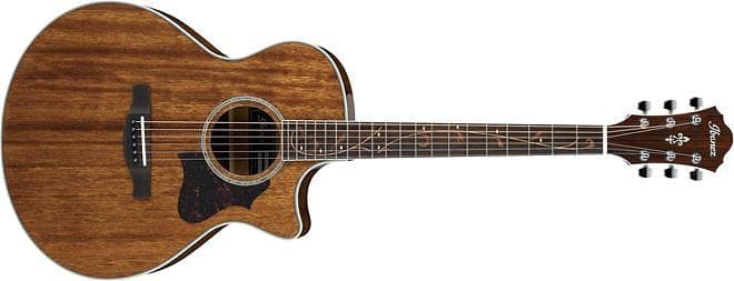 Ibanez AE245 (CE)