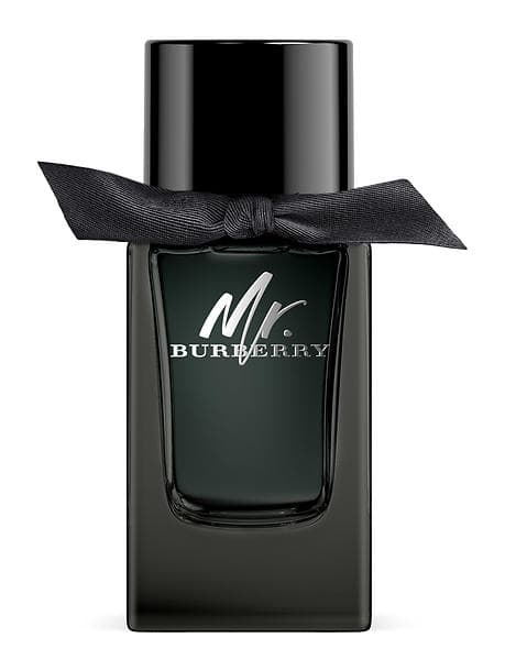 Burberry Mr. Burberry edp 100ml