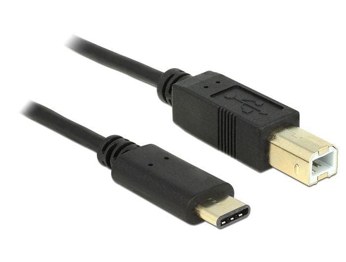 DeLock USB B - USB C 2.0 2m