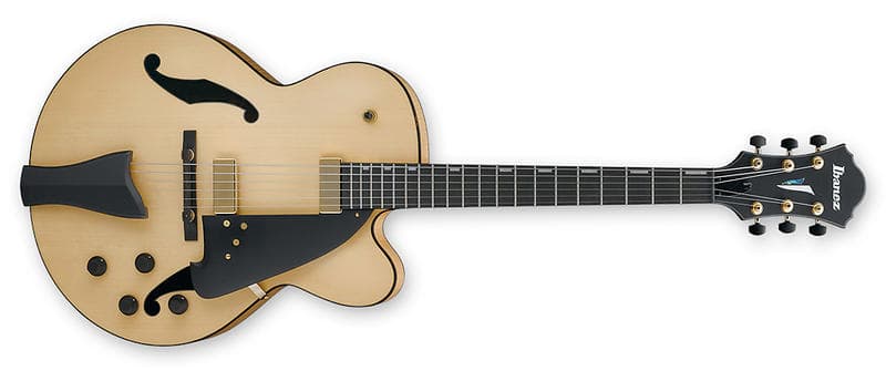 Ibanez Artcore Contemporary Archtop AFC95 (HB)