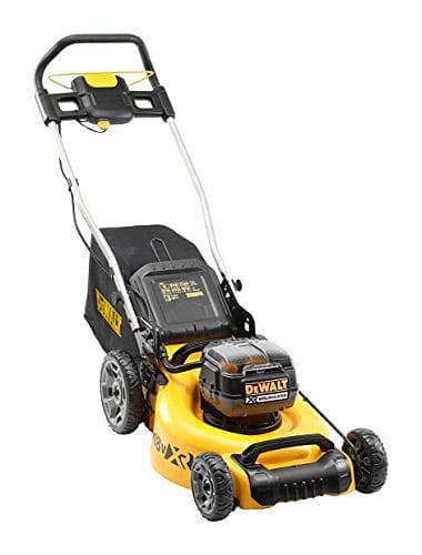 Dewalt DCMW564P2