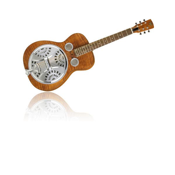 Epiphone Dobro Hound Dog Deluxe Round Neck