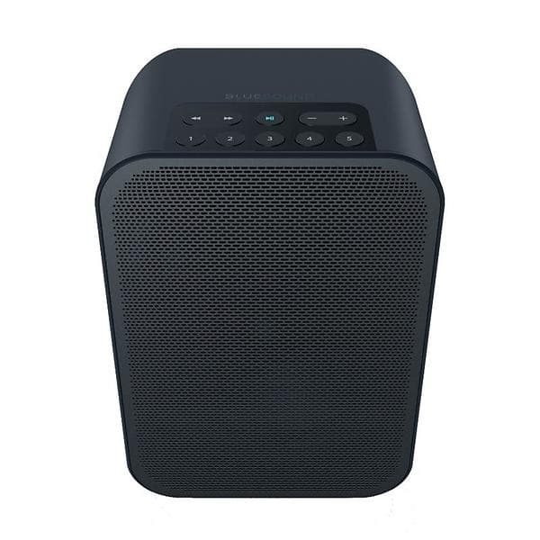 Bluesound Pulse Flex 2i WiFi Bluetooth Högtalare