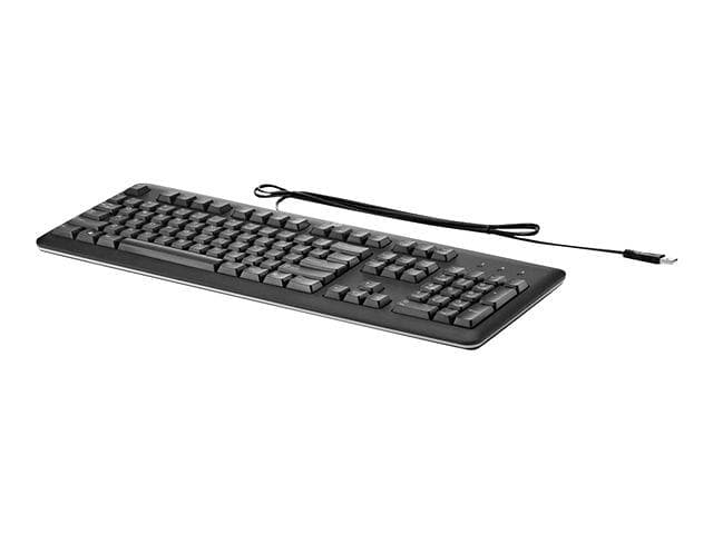 HP USB Keyboard (DK)