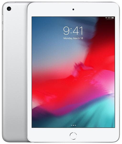 Apple iPad Mini 256GB (5th Generation)