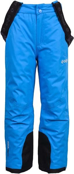 ZigZag Provo Ski Pants (Jr)