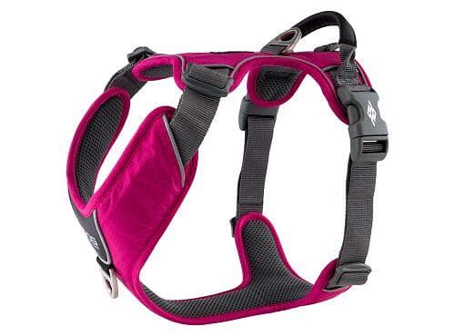 Dog Copenhagen Comfort Walk Pro Harness L